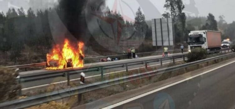 Carro arde totalmente na A23