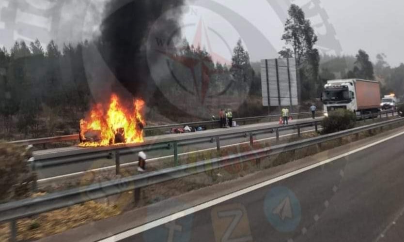 Carro arde totalmente na A23