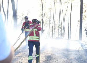Governo apoia prejuízos do fogo de Castelo Branco e Proença-a-Nova