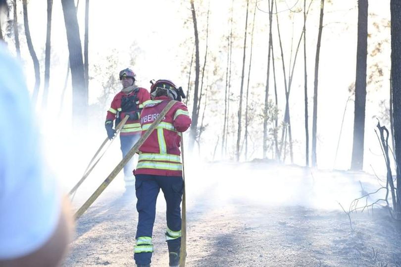 Governo apoia prejuízos do fogo de Castelo Branco e Proença-a-Nova