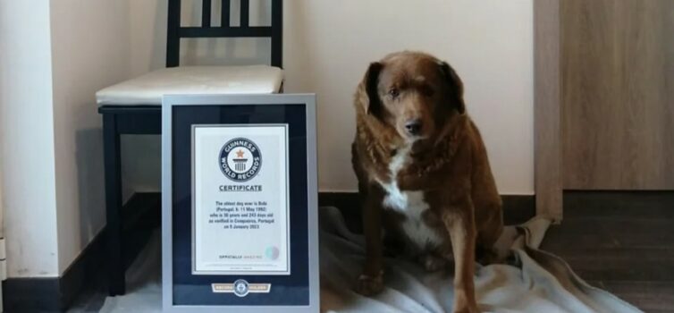 Morreu Bobi