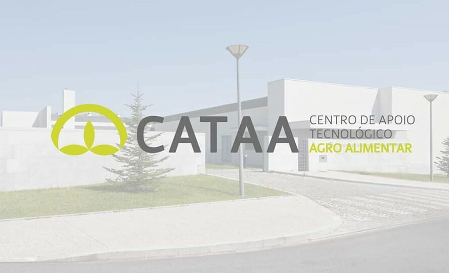 Castelo Branco