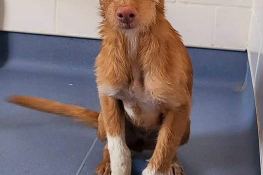 Fundão