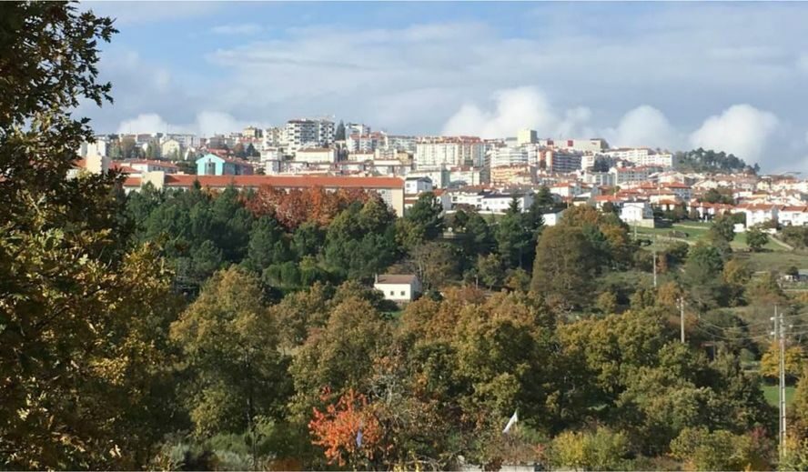 Guarda