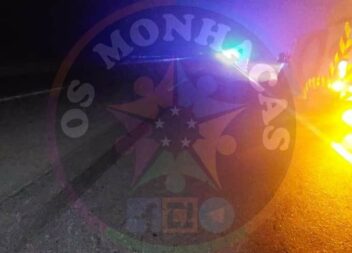 Acidente na A23 envolve animal