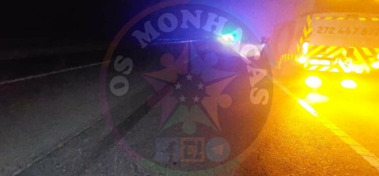 Acidente na A23 envolve animal