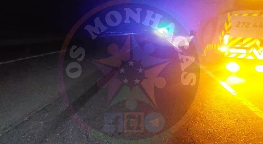 Acidente na A23 envolve animal
