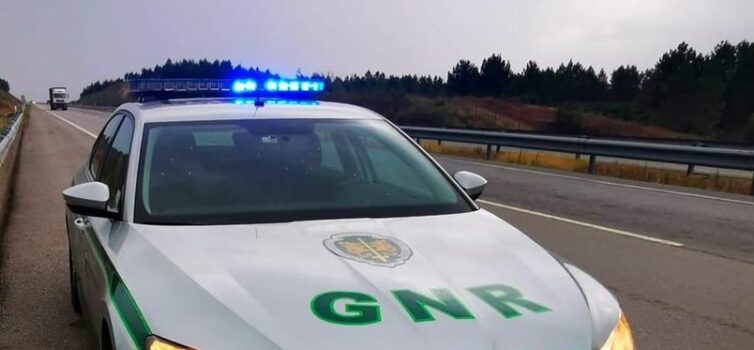 Despiste na A23 resulta em danos materiais