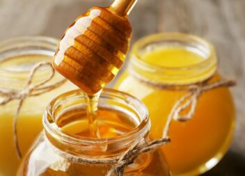 Fundão recebe Feira Nacional do Mel para divulgar produtos apícolas