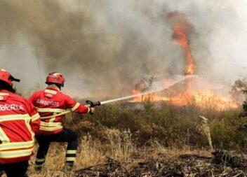 Incêndio em Seia a ser combatido por 48 homens