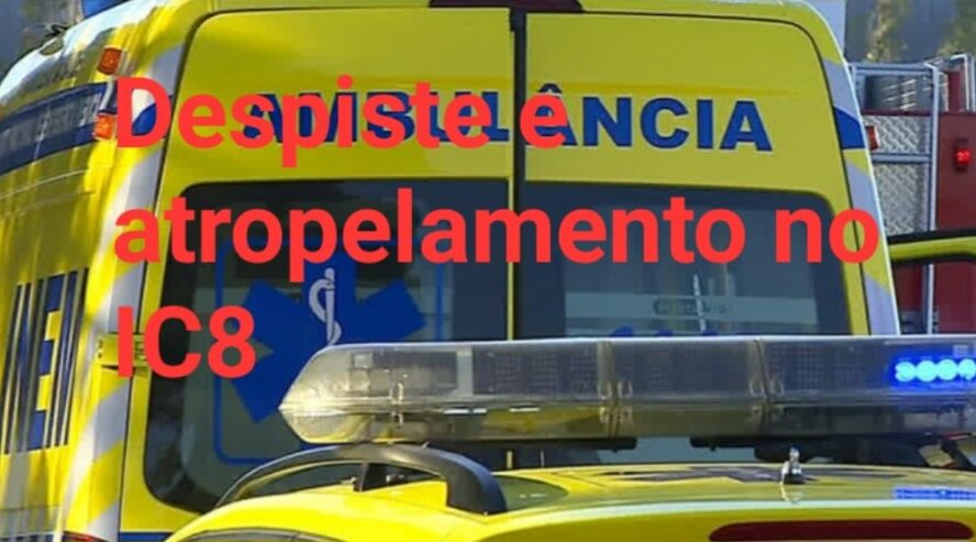 Um despiste seguido de atropelamento no IC8, ao km 113