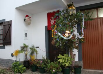 Oleiros