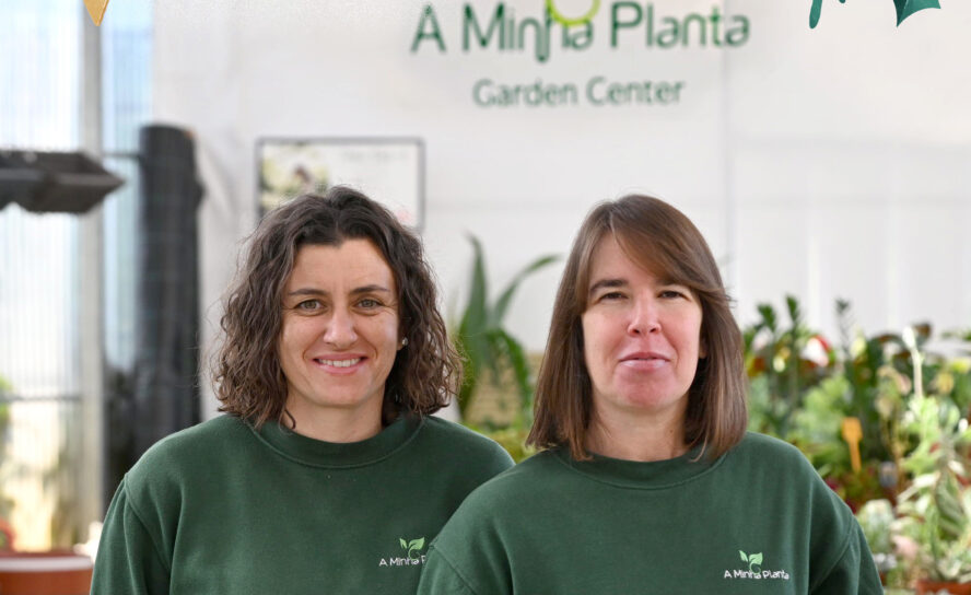 A Minha Planta || Castelo Branco e Fundão