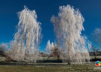 Guarda amanhece com Sincelo