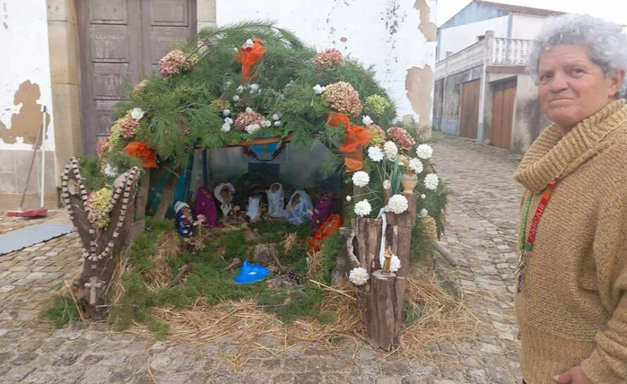 Ninho do Açor