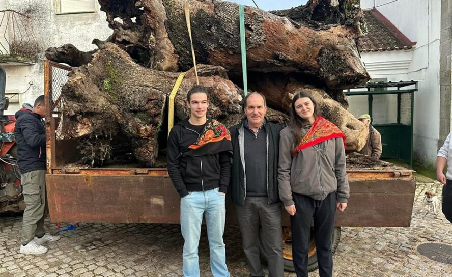Toulões