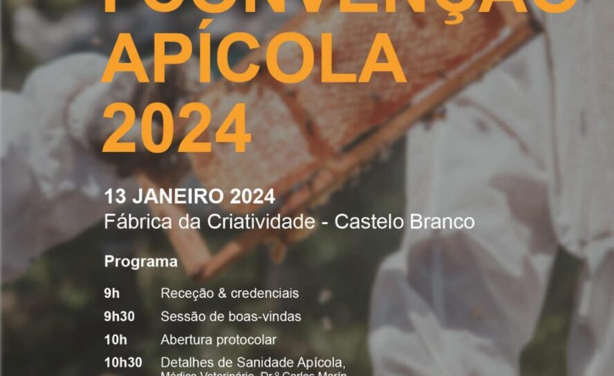 Castelo Branco