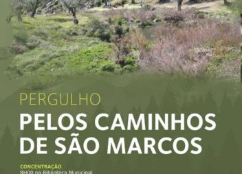 Proença-a-Nova