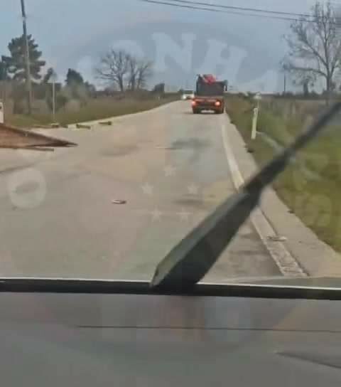 Guarda