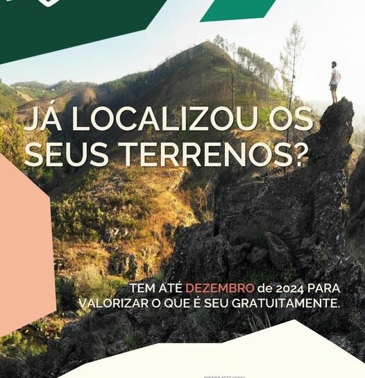 Vila de Rei