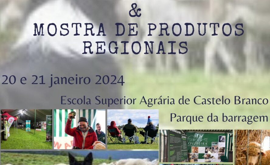 Castelo Branco
