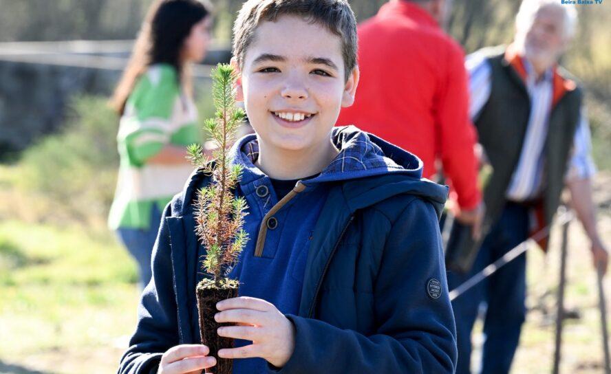 90 árvores autóctones já foram plantadas