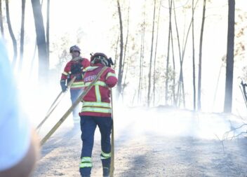 Apoios às empresas afetadas pelos incêndios de 2023 disponíveis