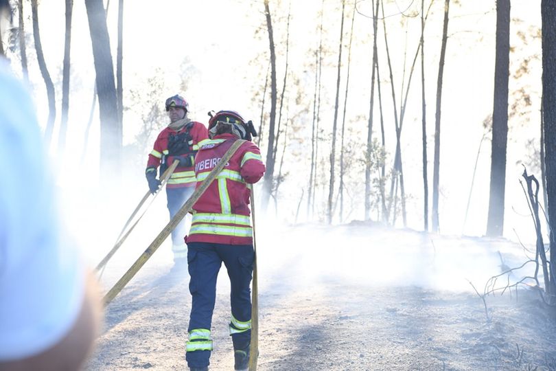 Apoios às empresas afetadas pelos incêndios de 2023 disponíveis