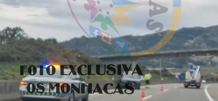 Despiste na A23 resulta em danos materiais