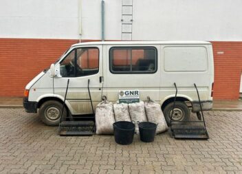 GNR deteve quatro pessoas por furto de azeitona em Campo Maior