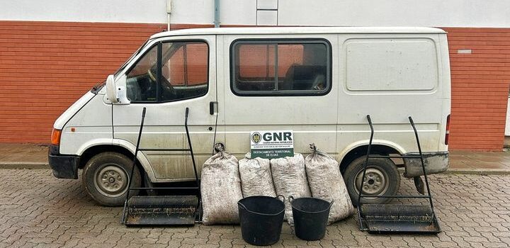 GNR deteve quatro pessoas por furto de azeitona em Campo Maior