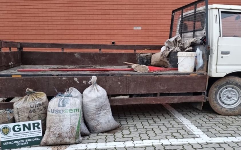 GNR volta a efetuar detenções por furto de azeitona em Campo Maior