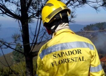 ICNF abre vagas para Sapadores Florestais