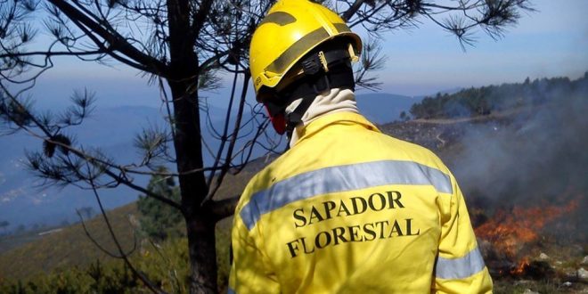 ICNF abre vagas para Sapadores Florestais