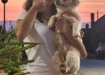 Já apareceu o cão da jovem que morreu na Escola Secundária de Seia