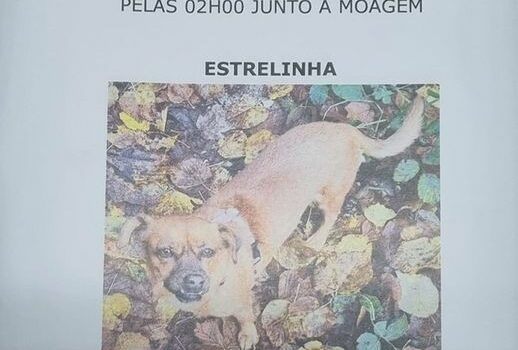 Proença-a-Velha