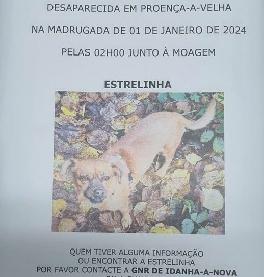 Proença-a-Velha