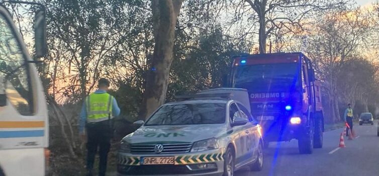 Veículo perde carga na EN233