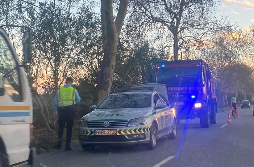 Veículo perde carga na EN233