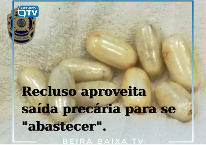 Guarda
