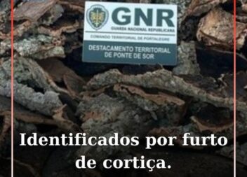 A GNR identificou dois homens, de 55 e 65 anos de idade, por suspeita de furto,