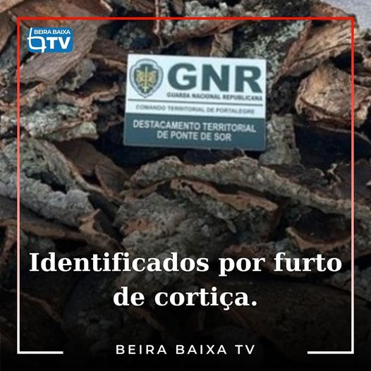 A GNR identificou dois homens, de 55 e 65 anos de idade, por suspeita de furto,