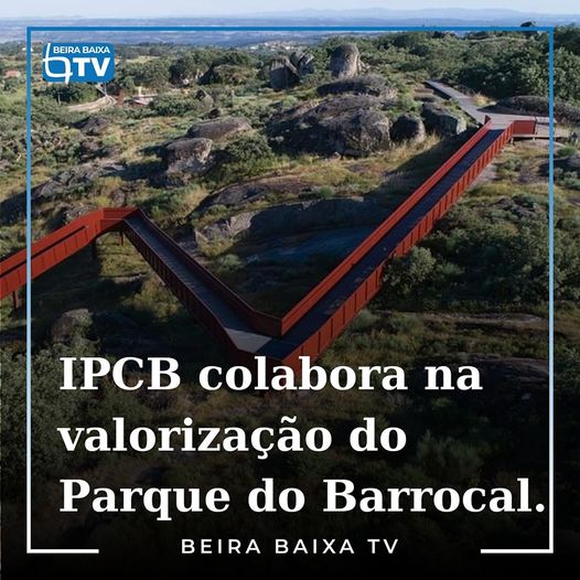 O Instituto Politécnico de Castelo Branco (IPCB) assinou um protocolo de coopera