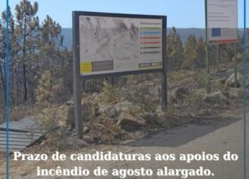 Prorrogação do prazo de candidaturas ao programa de apoio aos prejuízos do incên