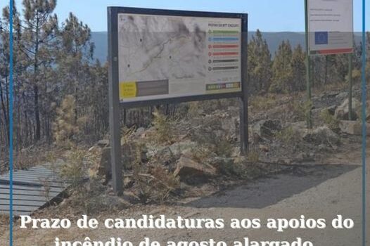 Prorrogação do prazo de candidaturas ao programa de apoio aos prejuízos do incên