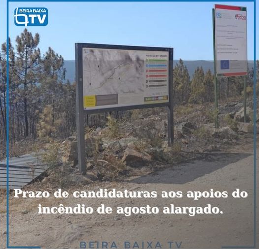 Prorrogação do prazo de candidaturas ao programa de apoio aos prejuízos do incên