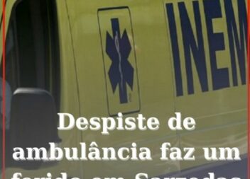 Uma ambulância doa Bombeiros sofreu um despiste rodoviário na EN233, na Freguesi