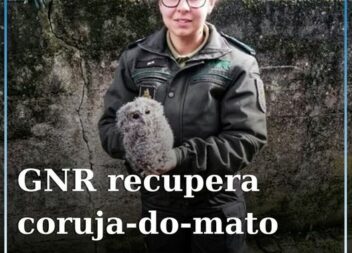Fundão