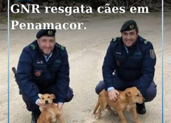 Penamacor