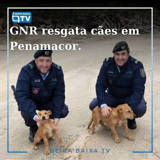Penamacor